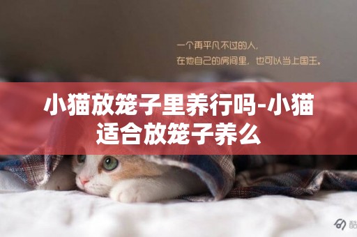 小貓放籠子里養行嗎-小貓適合放籠子養么