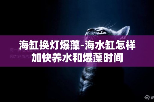 海缸換燈爆藻-海水缸怎樣加快養水和爆藻時間