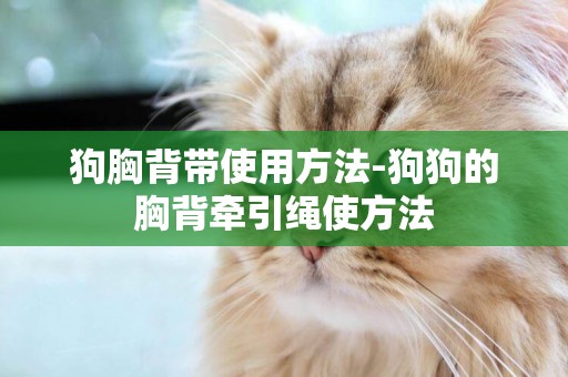 狗胸背帶使用方法-狗狗的胸背牽引繩使方法