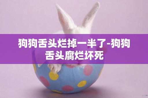 狗狗舌頭爛掉一半了-狗狗舌頭腐爛壞死