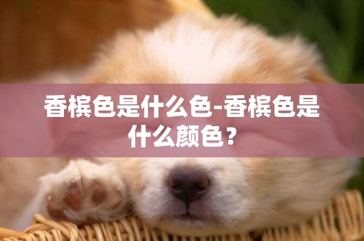 香檳色是什么色-香檳色是什么顏色？
