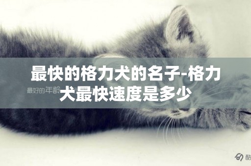 最快的格力犬的名子-格力犬最快速度是多少