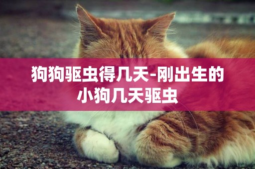 狗狗驅蟲得幾天-剛出生的小狗幾天驅蟲