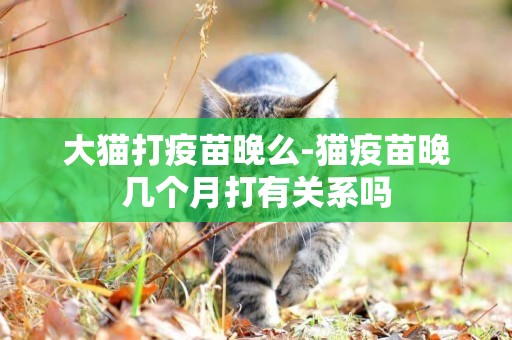 大貓打疫苗晚么-貓疫苗晚幾個月打有關系嗎