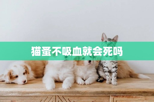 貓蚤不吸血就會死嗎