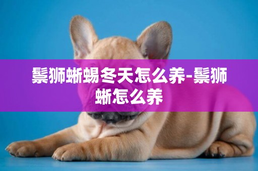 鬃獅蜥蜴冬天怎么養-鬃獅蜥怎么養