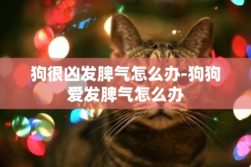 狗很兇發脾氣怎么辦-狗狗愛發脾氣怎么辦