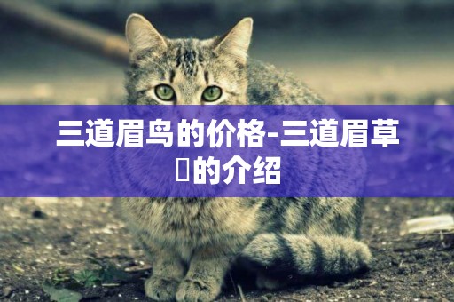 三道眉鳥的價格-三道眉草鹀的介紹