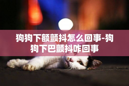 狗狗下額顫抖怎么回事-狗狗下巴顫抖咋回事