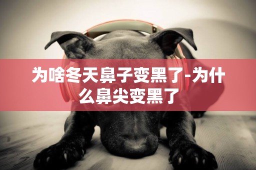為啥冬天鼻子變黑了-為什么鼻尖變黑了