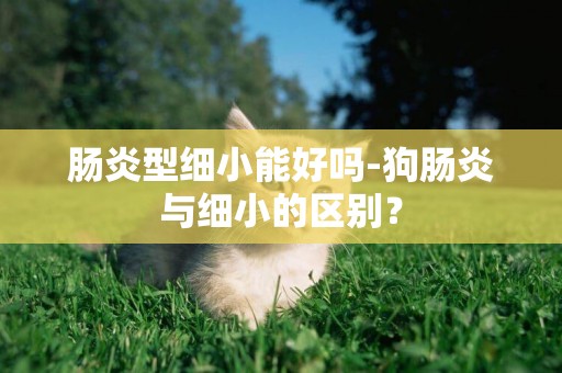腸炎型細小能好嗎-狗腸炎與細小的區別？