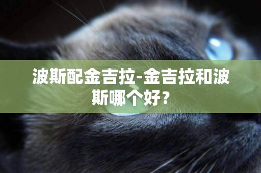 波斯配金吉拉-金吉拉和波斯哪個好？