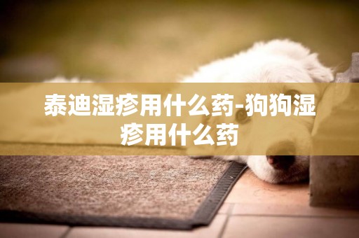 泰迪濕疹用什么藥-狗狗濕疹用什么藥