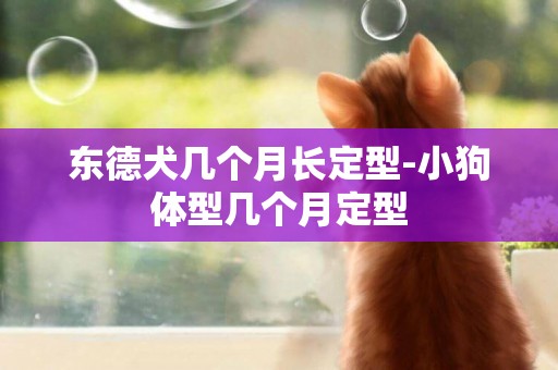 東德犬幾個月長定型-小狗體型幾個月定型