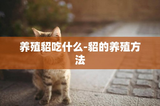 養殖貂吃什么-貂的養殖方法