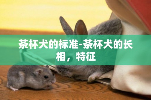 茶杯犬的標準-茶杯犬的長相，特征