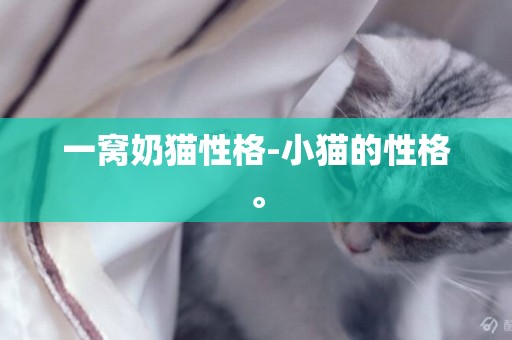 一窩奶貓性格-小貓的性格。