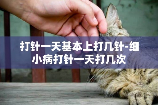 打針一天基本上打幾針-細小病打針一天打幾次