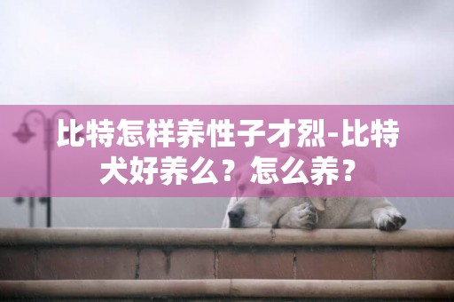 比特怎樣養性子才烈-比特犬好養么？怎么養？