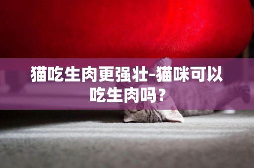 貓吃生肉更強壯-貓咪可以吃生肉嗎？