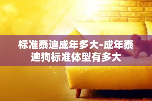 標準泰迪成年多大-成年泰迪狗標準體型有多大