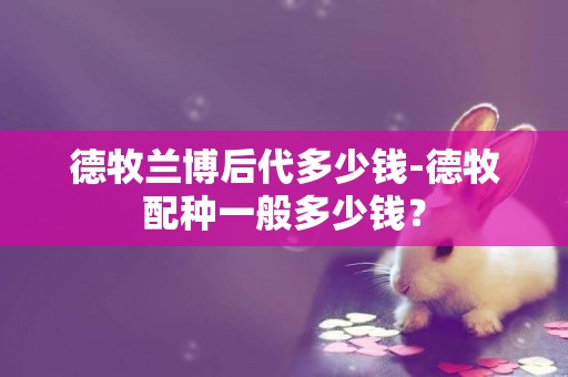 德牧蘭博后代多少錢-德牧配種一般多少錢？