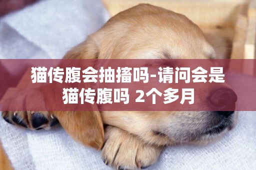貓傳腹會抽搐嗎-請問會是貓傳腹嗎 2個多月