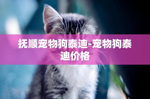 撫順寵物狗泰迪-寵物狗泰迪價格