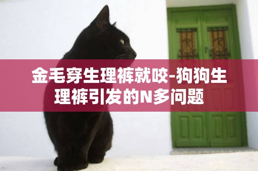 金毛穿生理褲就咬-狗狗生理褲引發的N多問題
