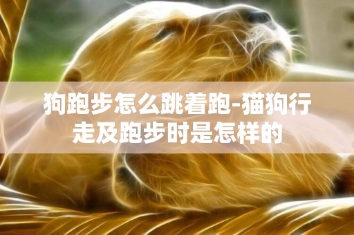 狗跑步怎么跳著跑-貓狗行走及跑步時是怎樣的