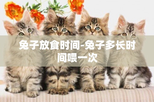 兔子放食時間-兔子多長時間喂一次