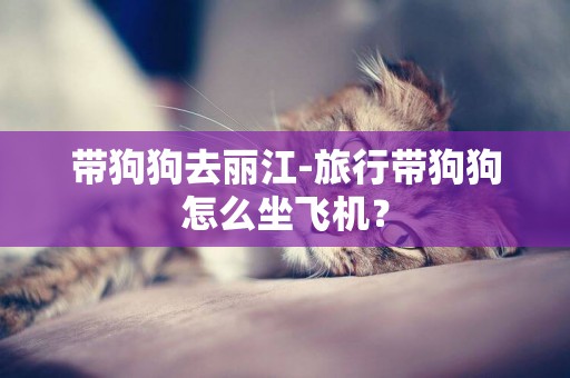 帶狗狗去麗江-旅行帶狗狗怎么坐飛機？