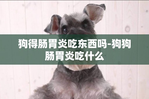 狗得腸胃炎吃東西嗎-狗狗腸胃炎吃什么