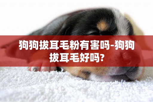 狗狗拔耳毛粉有害嗎-狗狗拔耳毛好嗎?