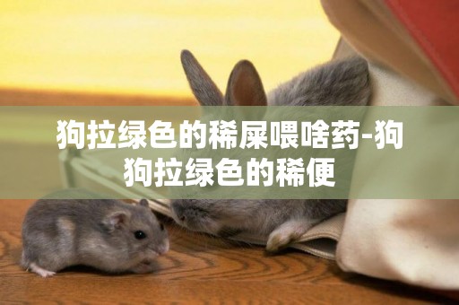狗拉綠色的稀屎喂啥藥-狗狗拉綠色的稀便
