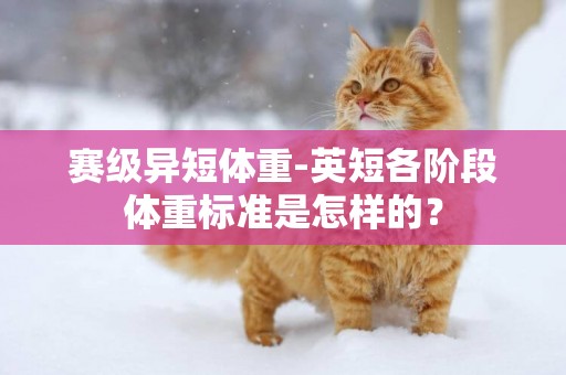 賽級異短體重-英短各階段體重標準是怎樣的？