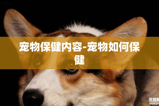 寵物保健內容-寵物如何保健