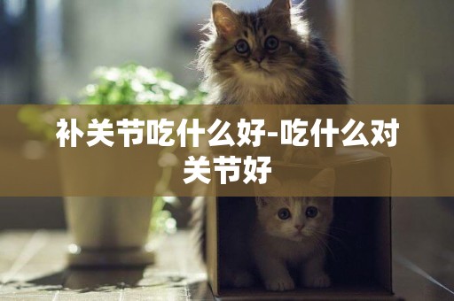補關節吃什么好-吃什么對關節好
