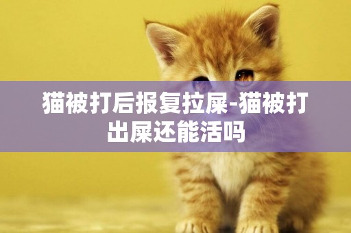 貓被打后報復拉屎-貓被打出屎還能活嗎