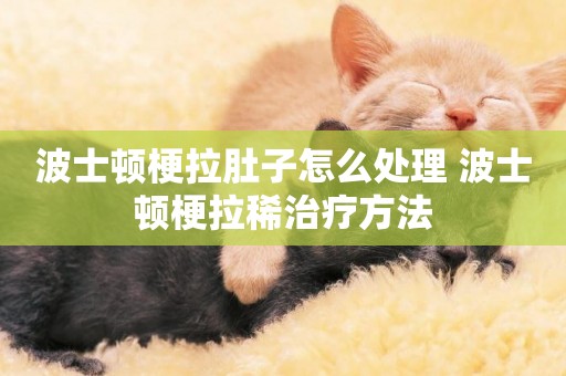 波士頓梗拉肚子怎么處理 波士頓梗拉稀治療方法