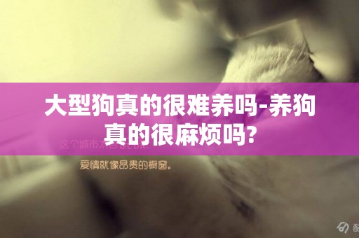 大型狗真的很難養嗎-養狗真的很麻煩嗎?