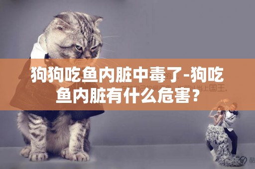 狗狗吃魚內臟中毒了-狗吃魚內臟有什么危害？