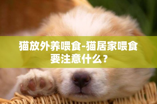 貓放外養喂食-貓居家喂食要注意什么？