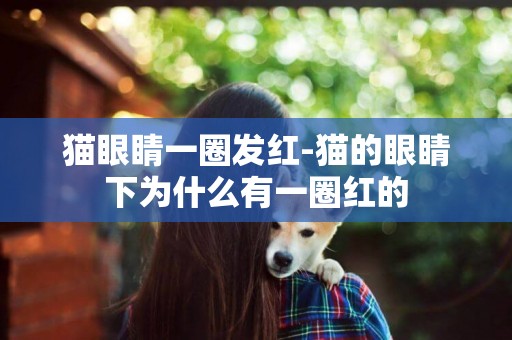 貓眼睛一圈發紅-貓的眼睛下為什么有一圈紅的