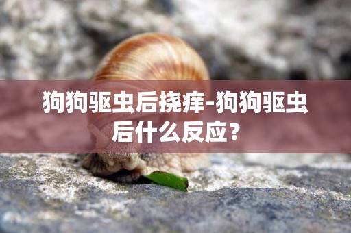 狗狗驅蟲后撓癢-狗狗驅蟲后什么反應？