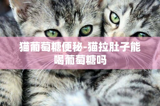 貓葡萄糖便秘-貓拉肚子能喝葡萄糖嗎