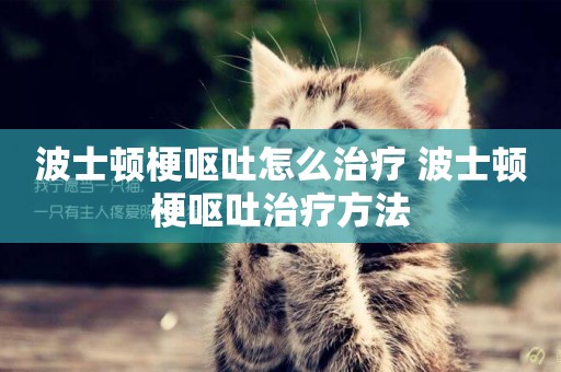 波士頓梗嘔吐怎么治療 波士頓梗嘔吐治療方法