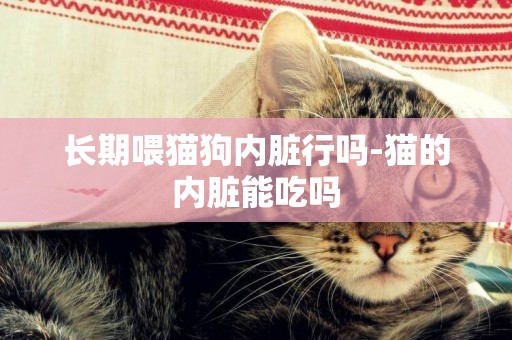 長期喂貓狗內臟行嗎-貓的內臟能吃嗎