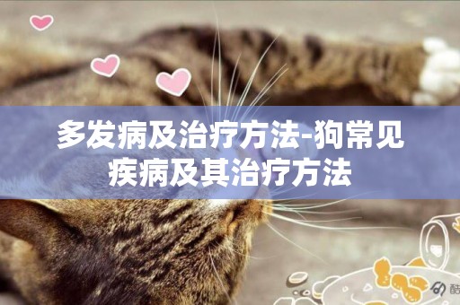 多發病及治療方法-狗常見疾病及其治療方法
