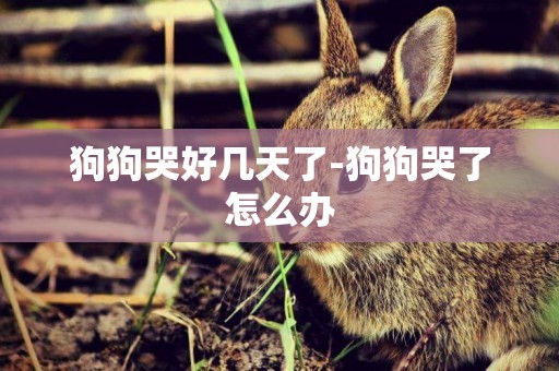 狗狗哭好幾天了-狗狗哭了怎么辦